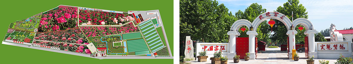 玫瑰园2.jpg